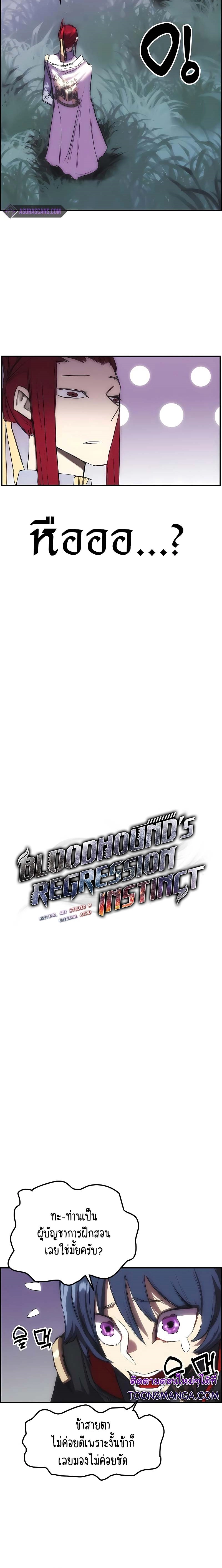 Bloodhound’s Regression Instinct-13