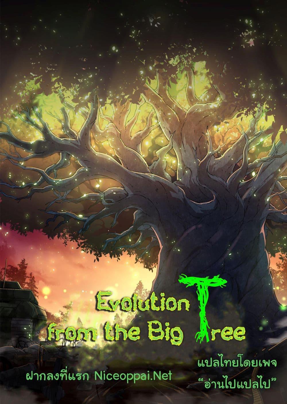 Evolution from the Big Tree-211